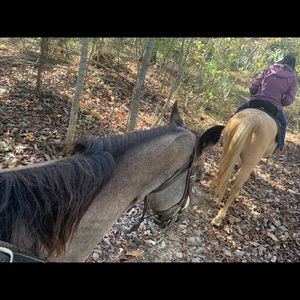 Meet your Posher, April